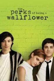 Download The Perks of Being a Wallflower (2012) English BluRay 480p, 720p & 1080p | Gdrive