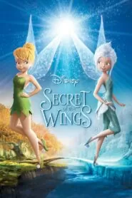 Download Secret of the Wings (2012) English WEB-DL 480p & 720p | Gdrive