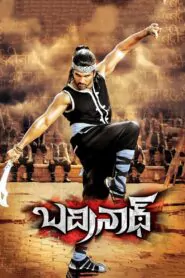 Download Badrinath (2011) Dual Audio [ Hindi-Telugu ] BluRay 480p, 720p & 1080p | Gdrive
