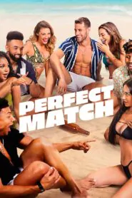 Download Perfect Match: Season 1 Dual Audio [ Hindi-English ] WEB-DL 480P, 720P & 1080P | [Complete] | Gdrive