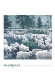 Download sweetgrass (2009) English BluRay 480p & 720p | Gdrive