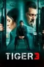 Download Tiger 3 (2023) Hindi HDTC 480p, 720p & 1080p | Gdrive